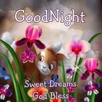 Good Night wishes and blessing 2