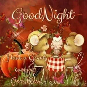 Good Night wishes and blessing 3