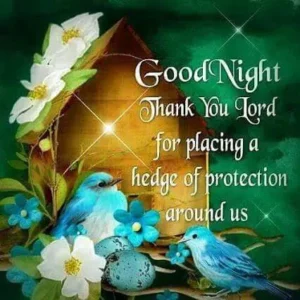 Good Night wishes and blessing 5