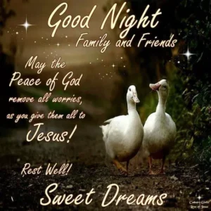 Good Night wishes and blessing 6