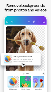 Canva: AI Video & Photo Editor App 3