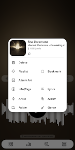 Poweramp Music Player (Trial) 4