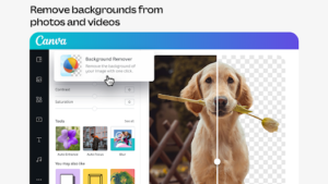 Canva: AI Video & Photo Editor App 9